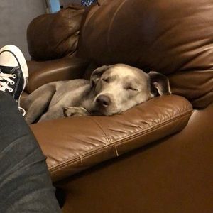 Meet your Posher, Nichole